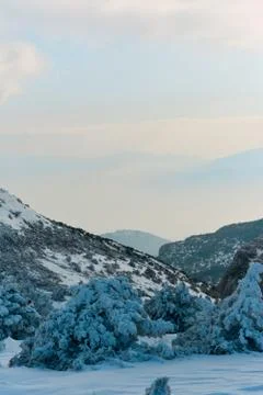 Snowy trees and mountains Foto stock