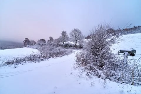 Snowy trees and path through the fields Stock Photos