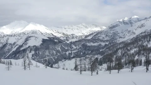 Snowy trees Stock-Footage 128586676