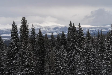 Snowy trees with mountains in the back Stock Footage 129718466