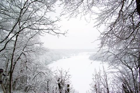Snowy trees Foto stock