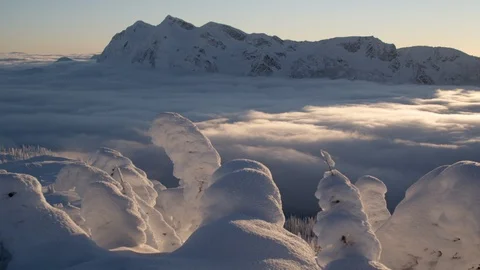 Snowy trees in snow peeking from cloudy sky troposphere in day time Stock Footage 121577567