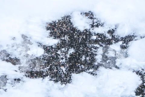 Snowy trucks pattern texture. Winter frozen urban street backdrop. Snow on as Stock Photos