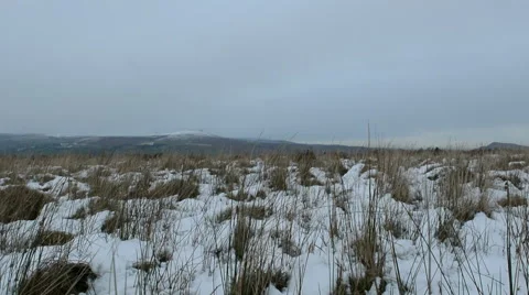 Snowy Tundra Stock Footage 59180459