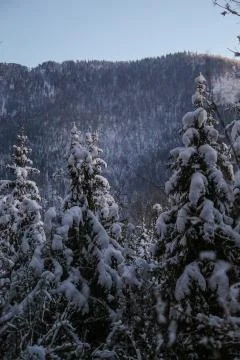 Snowy valley Stock Photos
