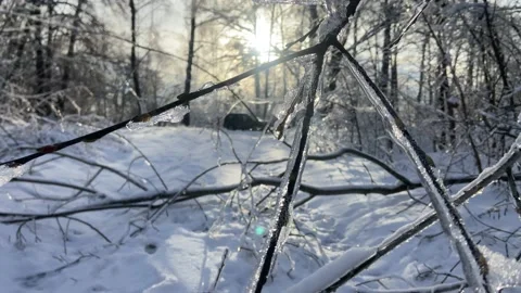 Snowy view of nature! Stock Footage 223555244