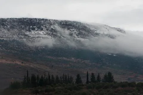 Snowy view Photos