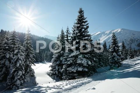 Snowy view in tatra mountains, winter landscapes series Stock Photos