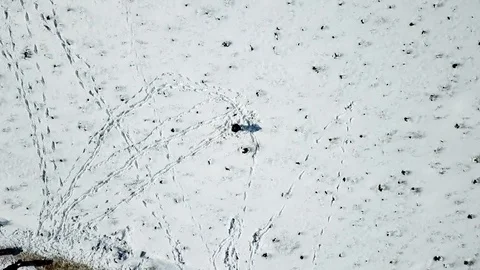 Snowy views frlying with a drone in Rome Video stock 100606375