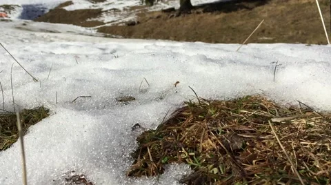Snowy Walk Stock Footage 52566955
