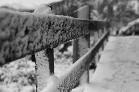 Snowy walkway Stock Photos