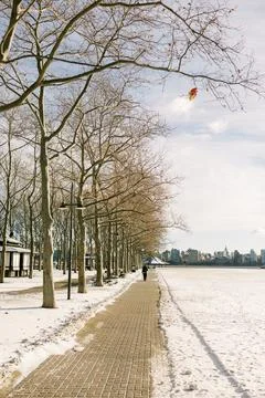 Snowy waterfront pathway with bare trees and a lone walker in a winter landscape Foto stock