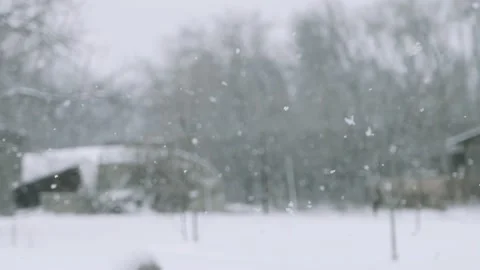 Snowy weather. Cold winter. Video stock 149187111