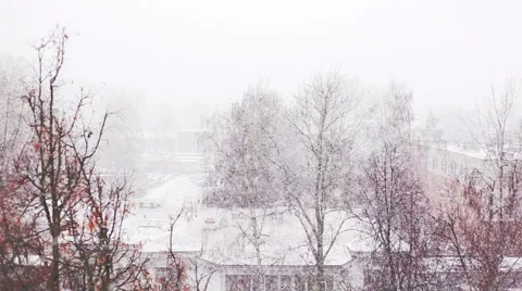 Snowy weather Stock Footage 62517989