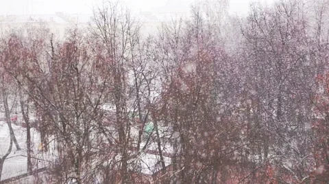 Snowy weather Video stock 62589080