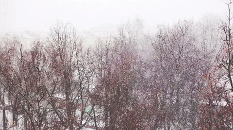 Snowy weather Video stock 62992887