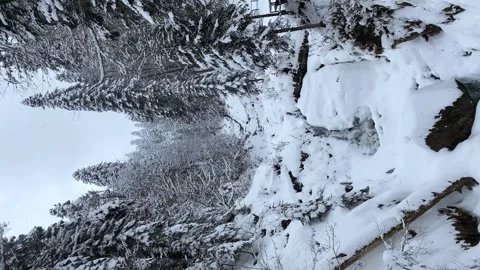 Snowy weather in the mountain forest. A stream flows among the snowdrifts Stock Footage 256605031