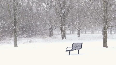 Snowy weather. Snow falling Stock Footage 101568878