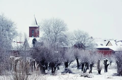 Snowy willow tree forest in front of Guelpe Village. Stock Photos