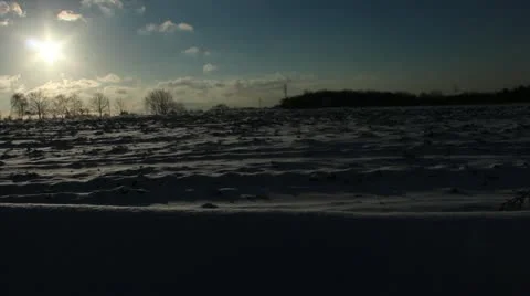 Snowy wind at the field Stock Footage 13665349