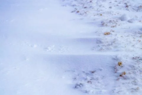 Snowy wind mound background. Winter cold weather texture. Stock Photos