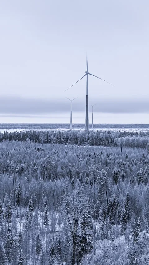 Snowy Windmills in Stillness: Hyperlapse in Winter Forest 스톡 동영상 331061627