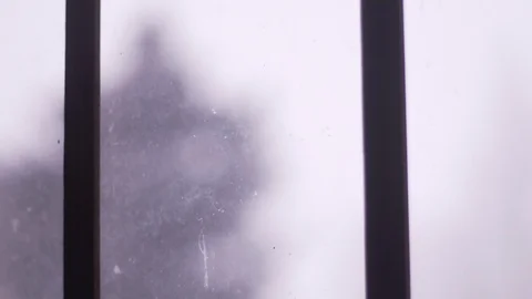 Snowy Window Rack Focus Depth Of Field POV Out Window Pine Tree Video stock 87845656