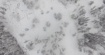 Snowy winter alpine landscape in Northern Canada, fast travelling aerial shot Stock Footage
