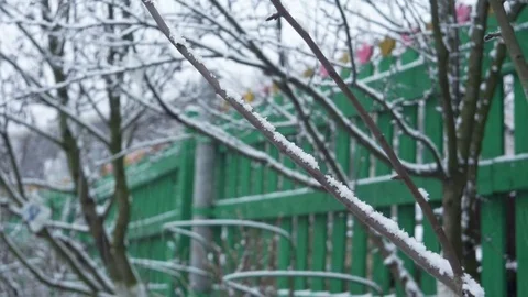 Snowy Winter Day in the Backyard Stock-Footage 83938209