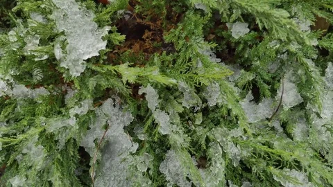 Snowy Winter Day Stock Footage 83602108