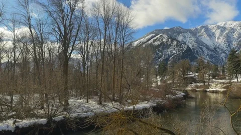 Snowy Winter Day Stock Footage 83602183