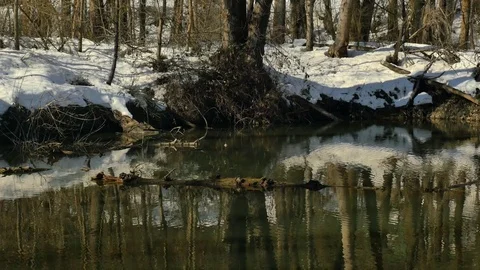 Snowy Winter Day Stock Footage 83602351