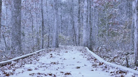 Snowy Winter from Fall Autumn Color Transition on Boardwalk Deck Path in Forest Stock Footage 106905445