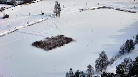 Snowy winter field with central thicket, light snowfall, tree shadows, and soft Stock Footage 309757554
