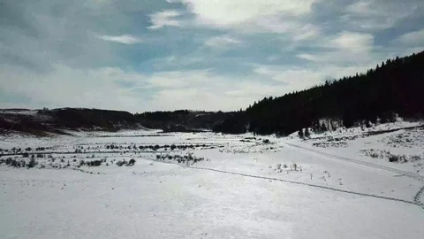 Snowy Winter Field Stock Footage 89453622