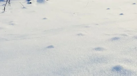 Snowy Winter Floor Stock Footage 58687744