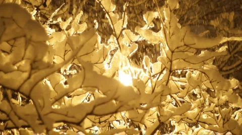 Snowy winter. Video stock 1076832