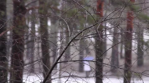 Snowy winter Video stock 60159268