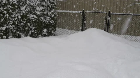 Snowy Winter Stock Footage 149456984