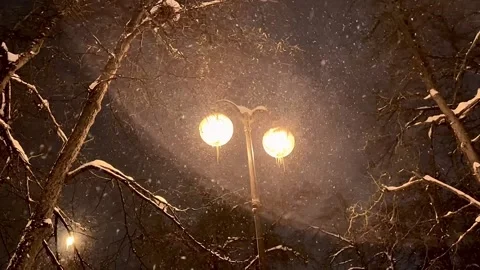 Snowy winter Video stock 227140228