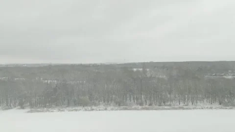 Snowy Winter Forest Aerial View - Braunschweig, Germany Westpark Stock Footage 332692002