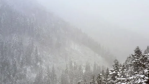 Snowy winter forest during a blizzard. Drone view. Stock Footage 147219603