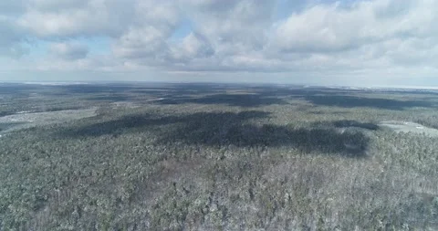 Snowy winter in the forest. General plan of the area. Kiev. Ukraine. Stock Footage 150979285