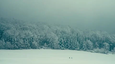 Snowy Winter Forest Landscape with Distant People Walking in Open Field 库存影片 331167781