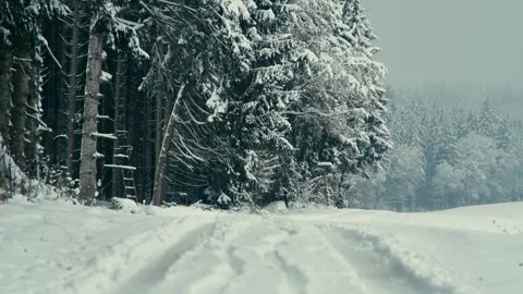 Snowy Winter Forest Landscape with a Rustic Hunting Tower in the Woods Vidéo 331167858
