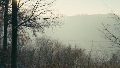 Snowy Winter Forest Landscape with Soft Sunlight Glowing over Misty Trees Vidéo 331167641