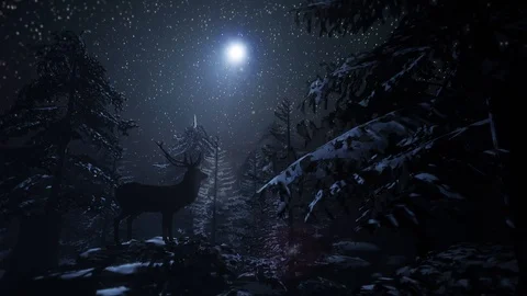 Snowy Winter Forest Night Magical Starr Stock Video Pond5