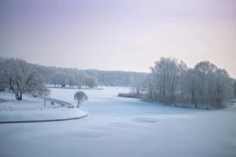 Snowy winter forest Stock Photos