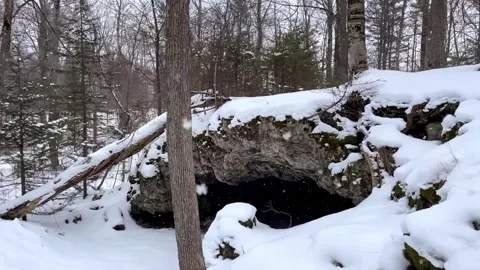 Snowy winter forest with a rock formation and falling snow in a scenic woods Stock Footage 325698041