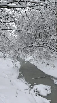 A snowy winter forest stream. 库存照片